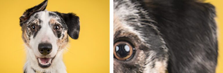 What is a Vector Image and why do I need one?- Vivid Image, Inc.