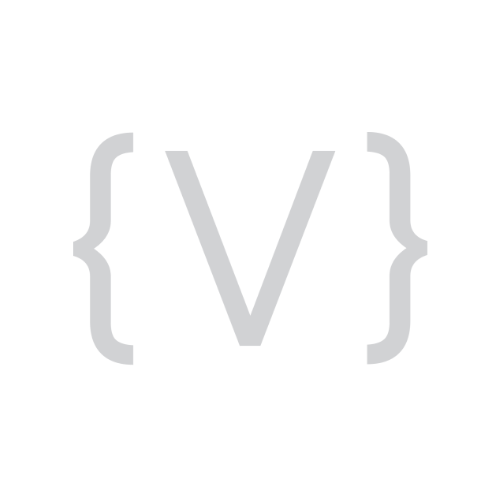 Vivid Image icon logo