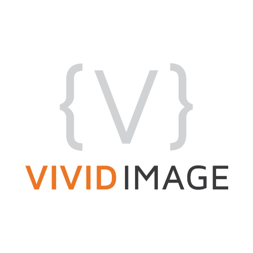 Vivid Image secondary logo