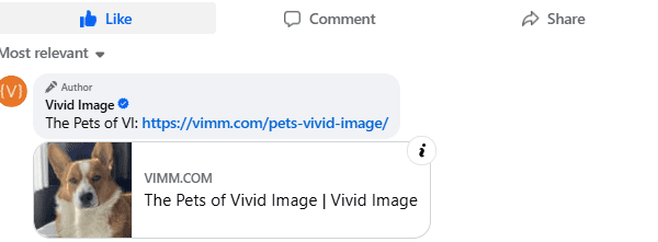 A Facebook post by Vivid Image shares a link titled The Pets of Vivid Image with a preview image of a brown and white dog with pointed ears.