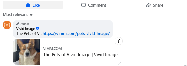 A Facebook post by Vivid Image shares a link titled The Pets of Vivid Image with a preview image of a brown and white dog with pointed ears.
